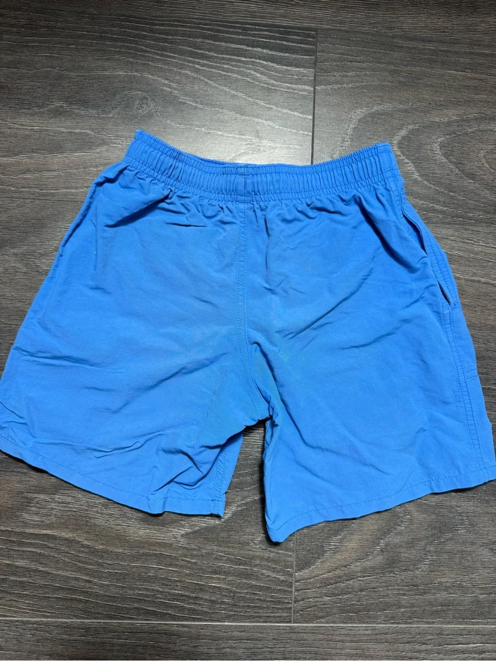Patagonia Boys Blue Swim Trunks